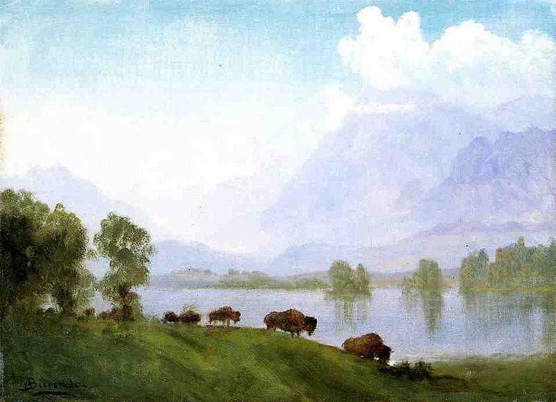 Albert Bierstadt Buffalo Country Germany oil painting art